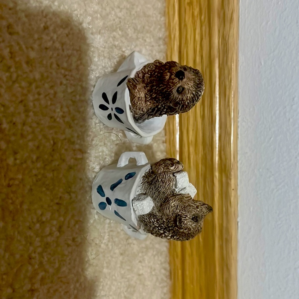 Small porcupines in tea cups